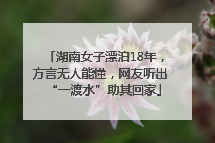 湖南女子漂泊18年，方言无人能懂，网友听出“一渡水”助其回家