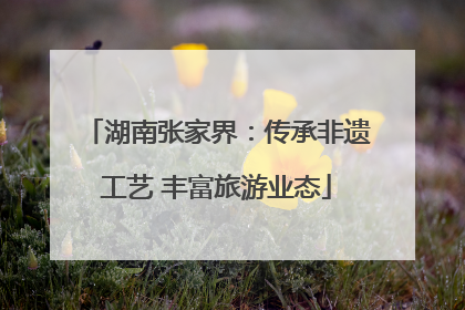 湖南张家界：传承非遗工艺 丰富旅游业态