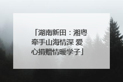湖南新田：湘粤牵手山海情深 爱心捐赠情暖学子