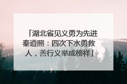 湖北省见义勇为先进秦遵照：四次下水勇救人，善行义举成榜样