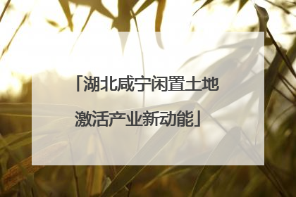 湖北咸宁闲置土地激活产业新动能