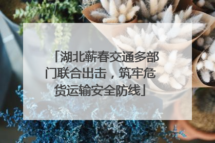 湖北蕲春交通多部门联合出击，筑牢危货运输安全防线