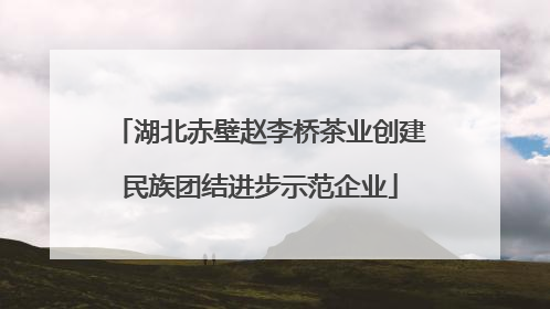 湖北赤壁赵李桥茶业创建民族团结进步示范企业
