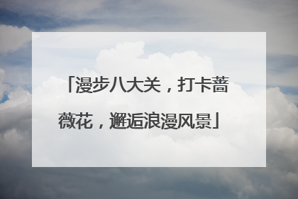 漫步八大关，打卡蔷薇花，邂逅浪漫风景