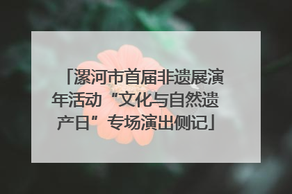 漯河市首届非遗展演年活动“文化与自然遗产日”专场演出侧记