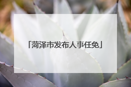 菏泽市发布人事任免