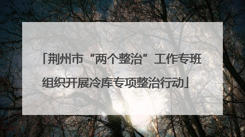 荆州市“两个整治”工作专班组织开展冷库专项整治行动