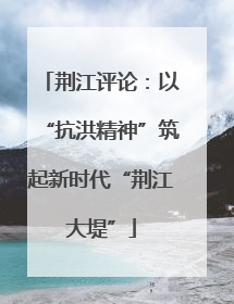 荆江评论：以“抗洪精神”筑起新时代“荆江大堤”