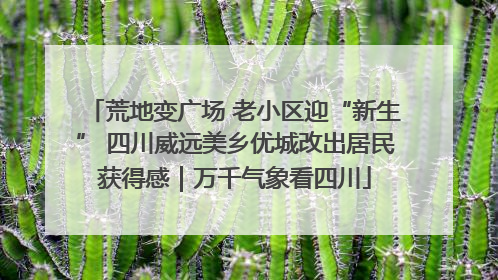 荒地变广场 老小区迎“新生” 四川威远美乡优城改出居民获得感｜万千气象看四川