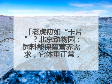 老虎瘦如“卡片”？北京动物园：饲料能保障营养需求，它体重正常，放心吧