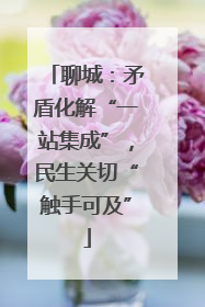 聊城：矛盾化解“一站集成”，民生关切“触手可及”