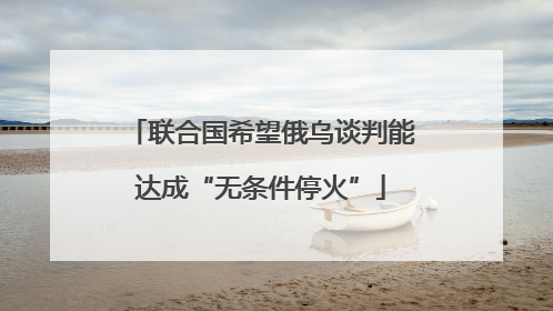 联合国希望俄乌谈判能达成“无条件停火”