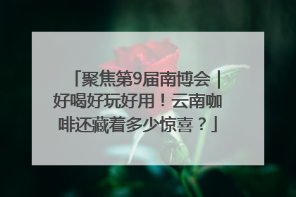 聚焦第9届南博会｜好喝好玩好用！云南咖啡还藏着多少惊喜？