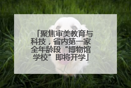 聚焦审美教育与科技，省内第一家全年龄段“博物馆学校”即将开学