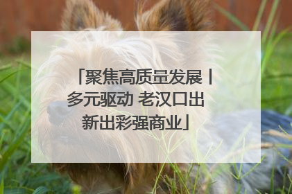 聚焦高质量发展丨多元驱动 老汉口出新出彩强商业