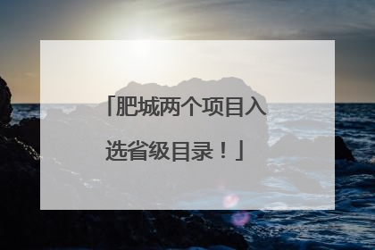肥城两个项目入选省级目录！