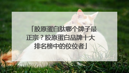 胶原蛋白肽哪个牌子最正宗？胶原蛋白品牌十大排名榜中的佼佼者