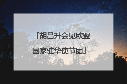 胡昌升会见欧盟国家驻华使节团