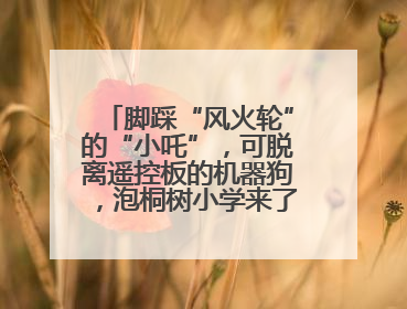 脚踩“风火轮”的“小吒”，可脱离遥控板的机器狗，泡桐树小学来了新朋友！