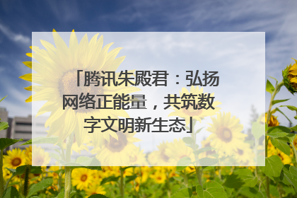 腾讯朱殿君：弘扬网络正能量，共筑数字文明新生态