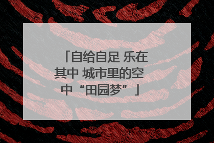 自给自足 乐在其中 城市里的空中“田园梦”