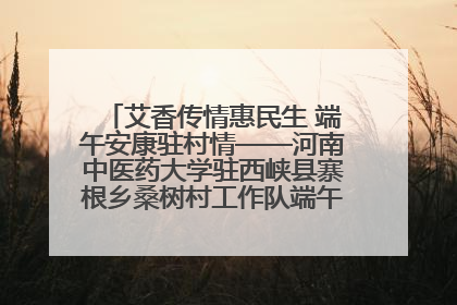 艾香传情惠民生 端午安康驻村情——河南中医药大学驻西峡县寨根乡桑树村工作队端午中医惠民记