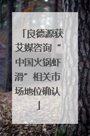良德源获艾媒咨询“中国火锅虾滑”相关市场地位确认