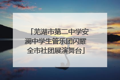 芜湖市第二中学安澜中学生管乐团闪耀全市社团展演舞台