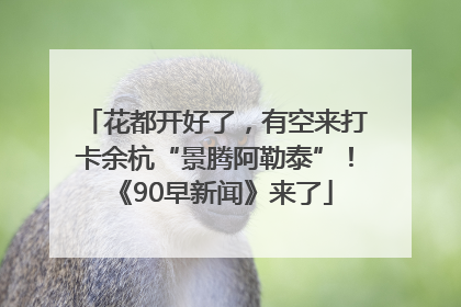 花都开好了，有空来打卡余杭“景腾阿勒泰”！《90早新闻》来了