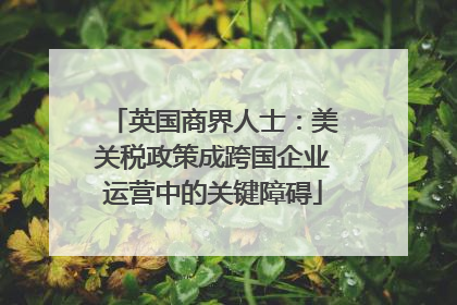 英国商界人士：美关税政策成跨国企业运营中的关键障碍