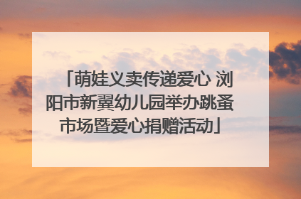 萌娃义卖传递爱心 浏阳市新翼幼儿园举办跳蚤市场暨爱心捐赠活动