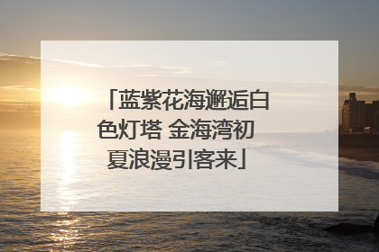 蓝紫花海邂逅白色灯塔 金海湾初夏浪漫引客来