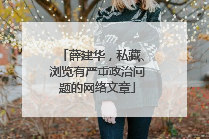 薛建华，私藏、浏览有严重政治问题的网络文章