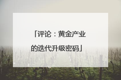 评论：黄金产业的迭代升级密码