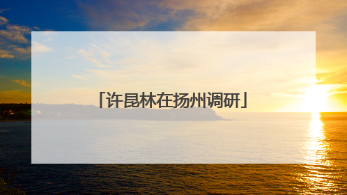 许昆林在扬州调研
