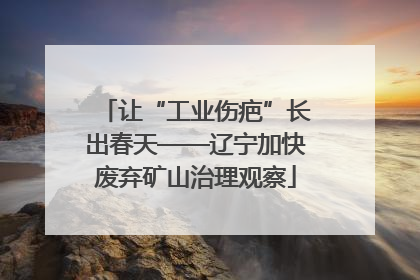 让“工业伤疤”长出春天——辽宁加快废弃矿山治理观察