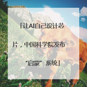 让AI自己设计芯片，中国科学院发布“启蒙”系统