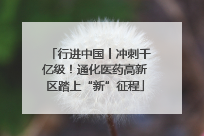 行进中国丨冲刺千亿级！通化医药高新区踏上“新”征程