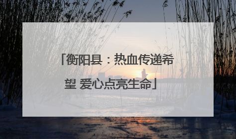 衡阳县：热血传递希望 爱心点亮生命