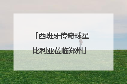 西班牙传奇球星 比利亚莅临郑州
