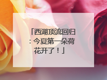 西湖顶流回归：今夏第一朵荷花开了！