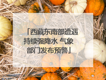 西藏东南部遭遇持续强降水 气象部门发布预警