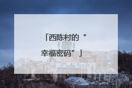 西陈村的“幸福密码”