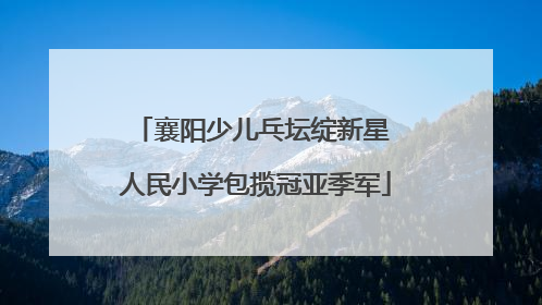襄阳少儿乓坛绽新星 人民小学包揽冠亚季军