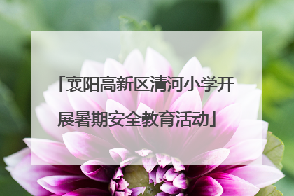 襄阳高新区清河小学开展暑期安全教育活动