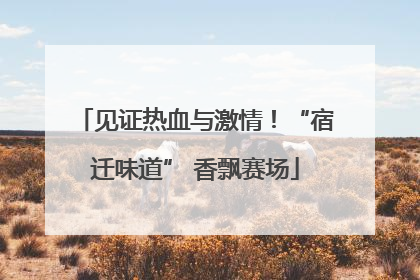 见证热血与激情！“宿迁味道” 香飘赛场