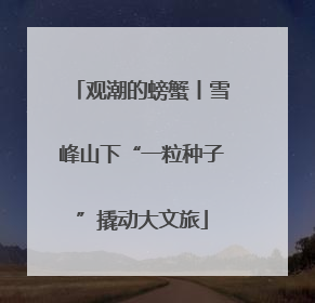观潮的螃蟹丨雪峰山下“一粒种子”撬动大文旅