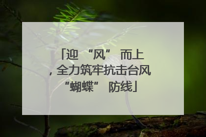 迎 “风” 而上，全力筑牢抗击台风 “蝴蝶” 防线