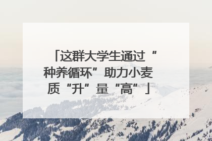 这群大学生通过“种养循环”助力小麦质“升”量“高”
