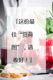这份最佳“赏荷图”，请收好！